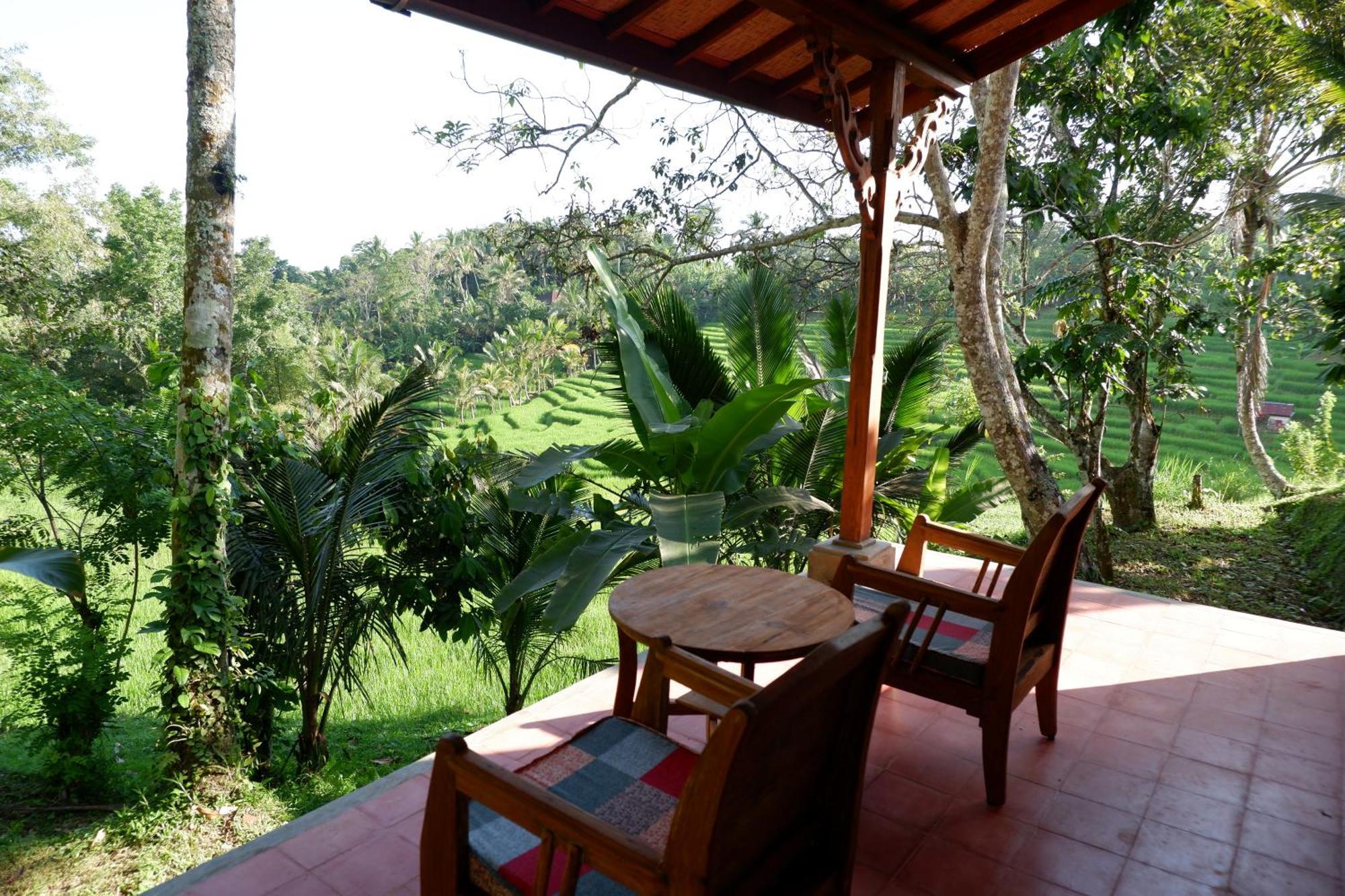 Saridevi Ecolodge Jatiluwih Bagian luar foto