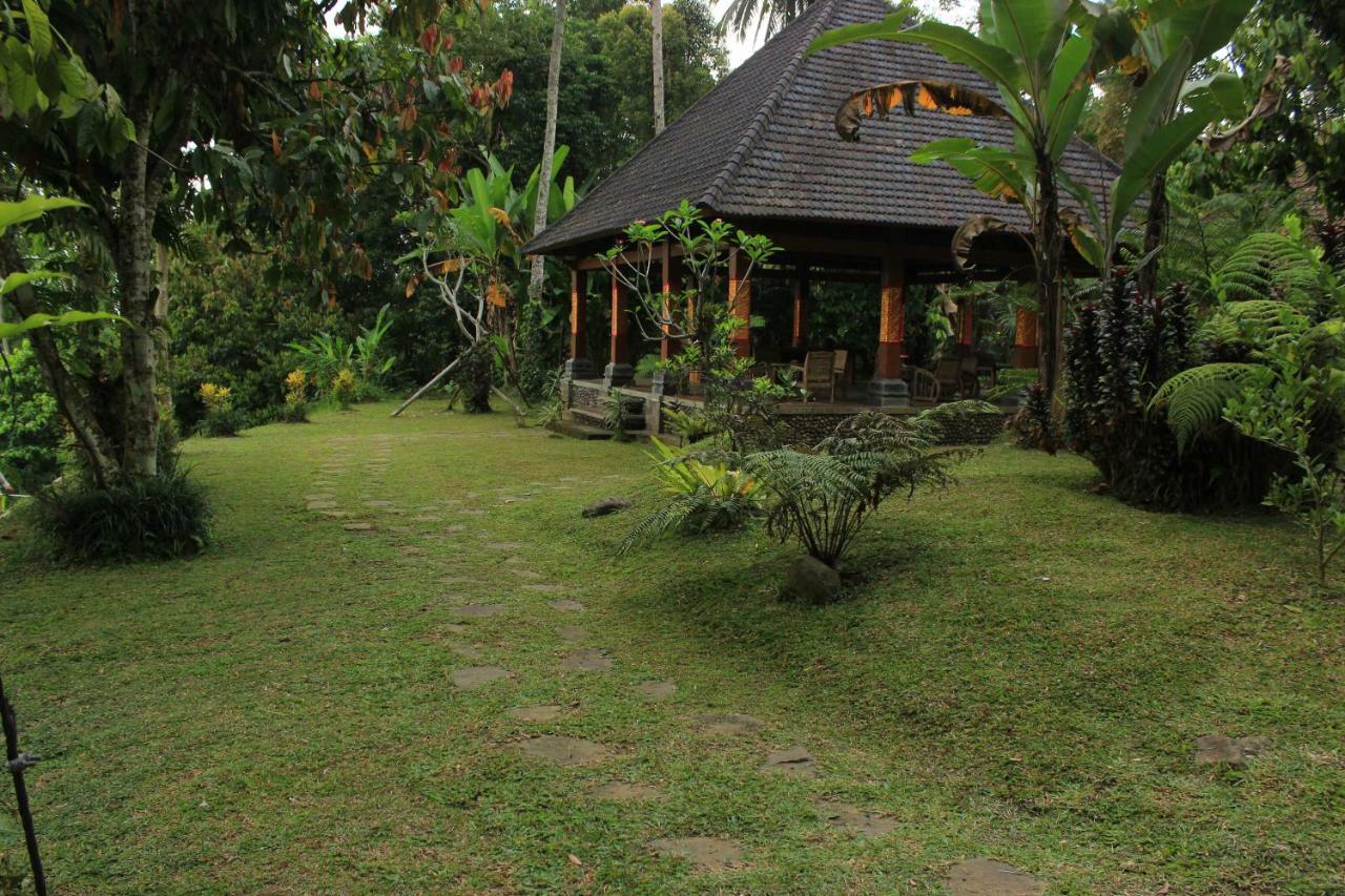 Saridevi Ecolodge Jatiluwih Bagian luar foto