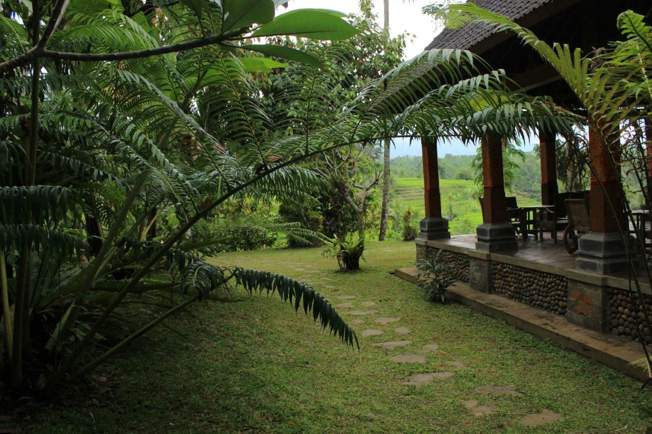 Saridevi Ecolodge Jatiluwih Bagian luar foto