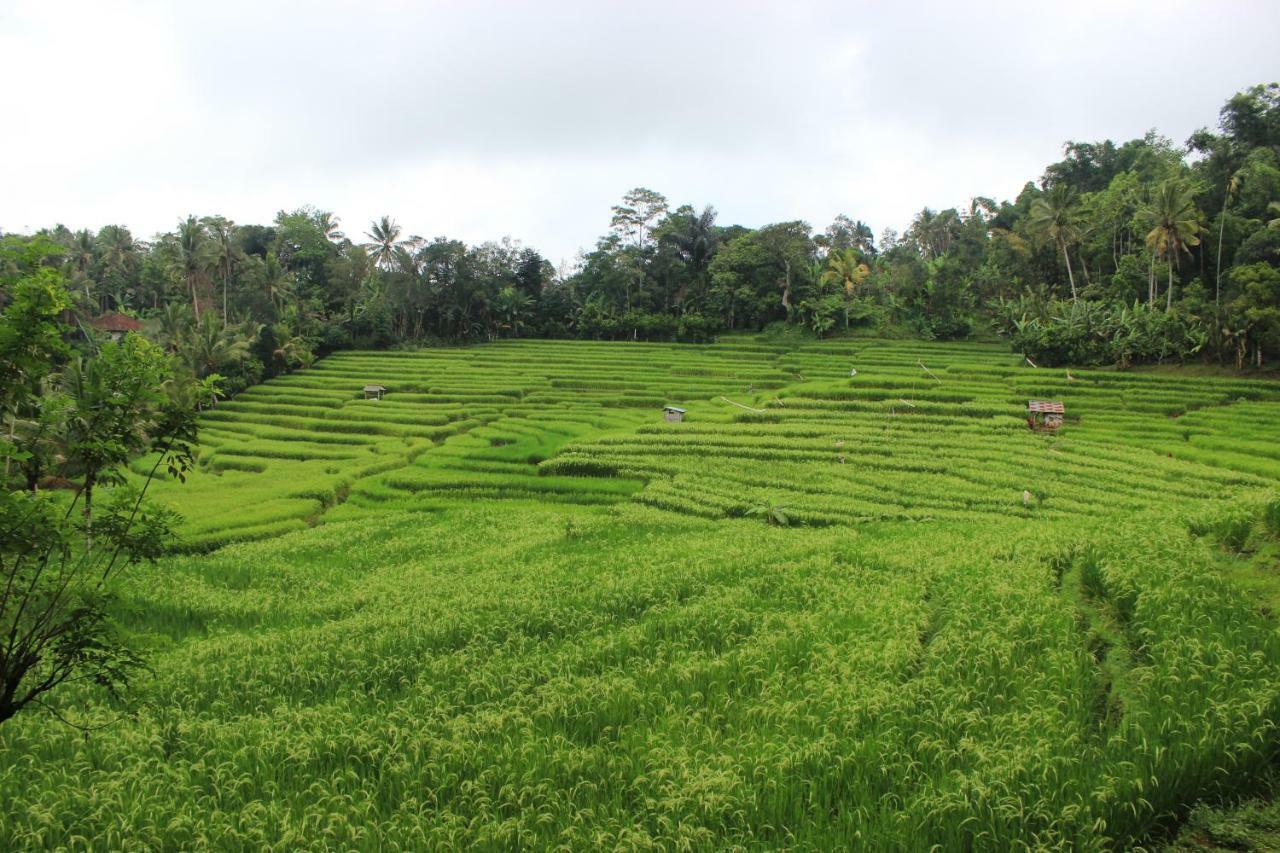 Saridevi Ecolodge Jatiluwih Bagian luar foto