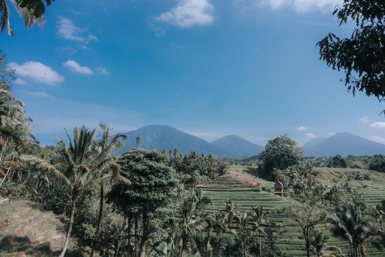 Saridevi Ecolodge Jatiluwih Bagian luar foto